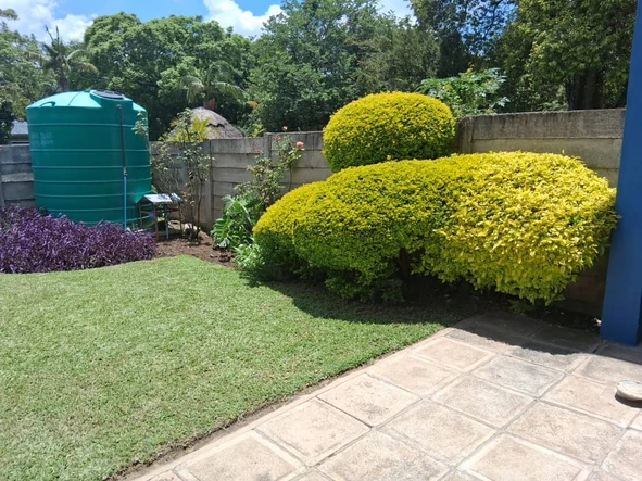 3 Bedroom Flat & Apartment