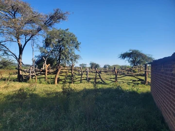 Farm & Agricultural Land