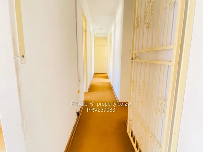 Connivence Connivence ! Absolute Gem For Brand  (Sole Mandate)