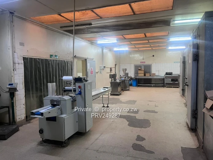 Ready to launch your food business ? State of the art industrial kitchen and food processing plantt 