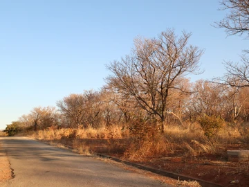 Commercial & Industrial Land