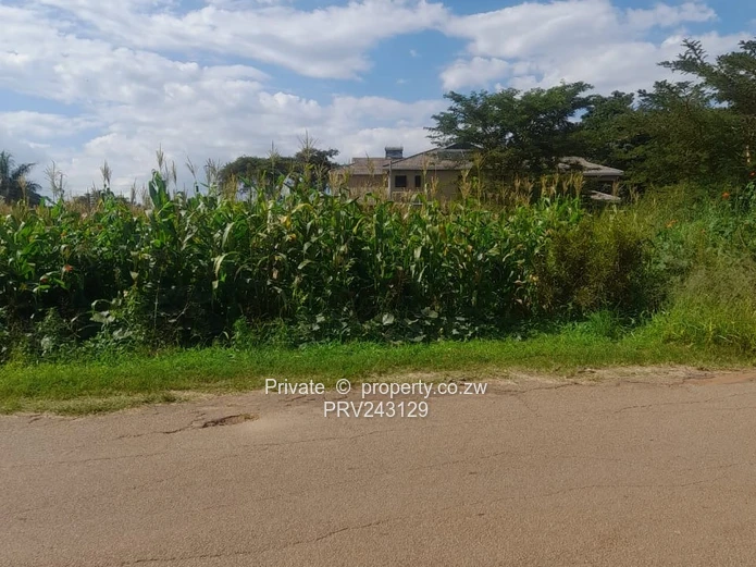 Bluffhill Stand For Sale