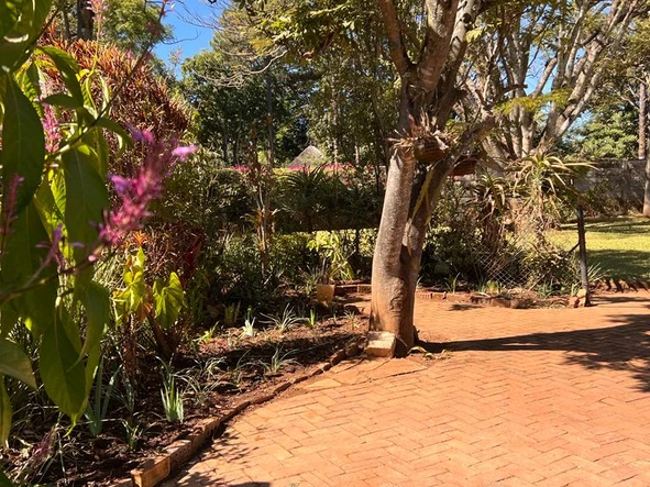 2 Bedroom Flat & Apartment