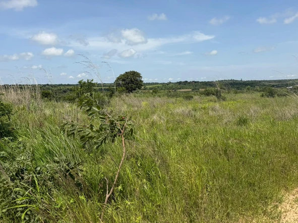 Land