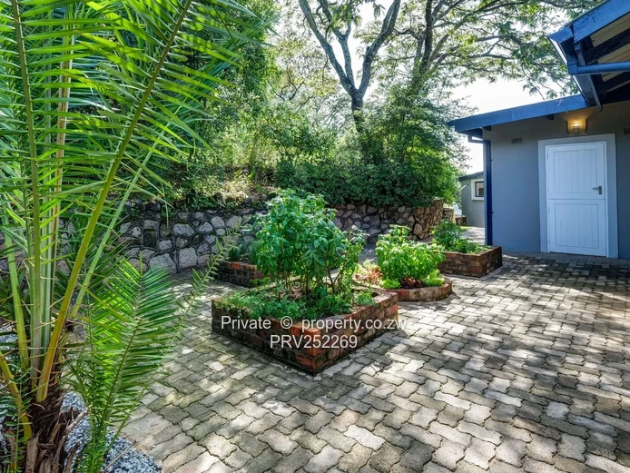 Paradise in Christon Bank. Reduced to 1.3mil.