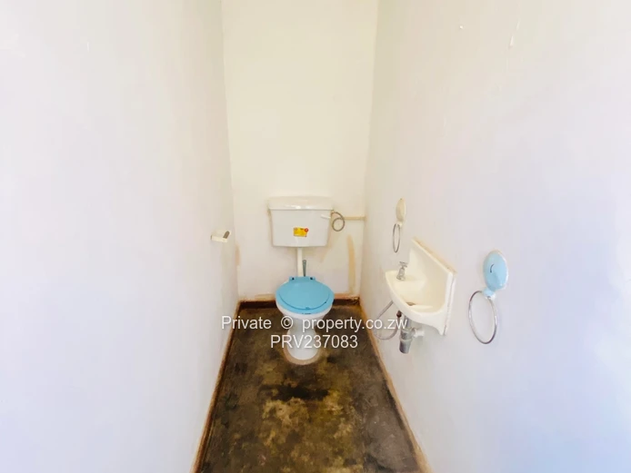 Connivence Connivence ! Absolute Gem For Brand  (Sole Mandate)