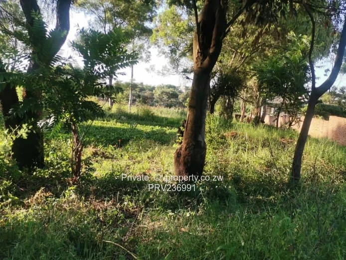 6,558sqm vacant stand for sale in Shawasha Hills Stand (Sole Mandate)