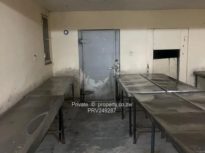 Ready to launch your food business ? State of the art industrial kitchen and food processing plantt 