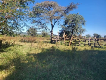 Farm & Agricultural Land