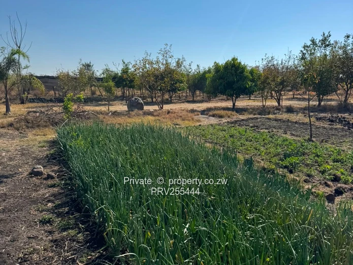20HA FARM FOR SALE | ZVIMBA / NORTON USD 220,000 Going concern. Title deed. Surveyed.