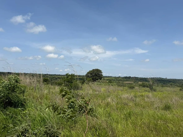 Land