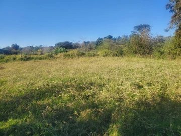Farm & Agricultural Land