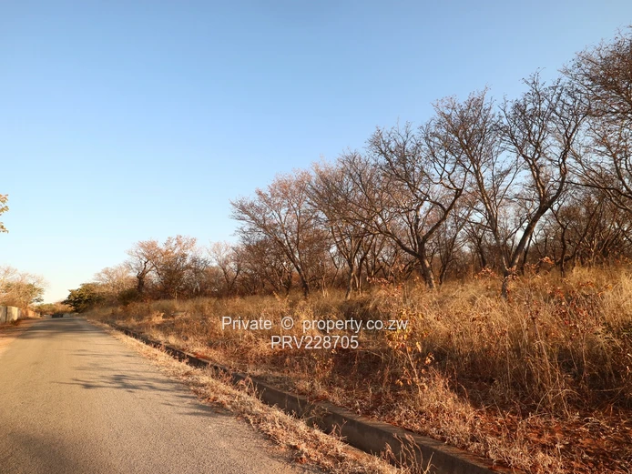 Prime Victoria Falls land along the parks game corridor