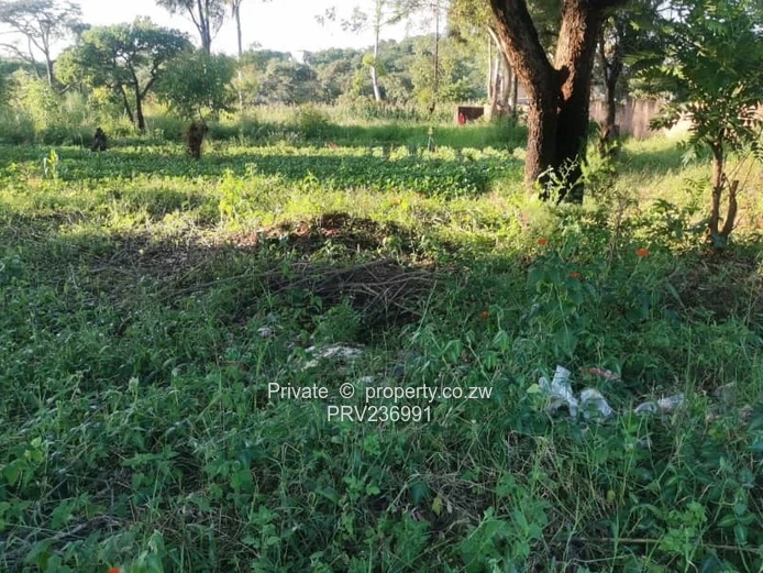 6,558sqm vacant stand for sale in Shawasha Hills Stand (Sole Mandate)