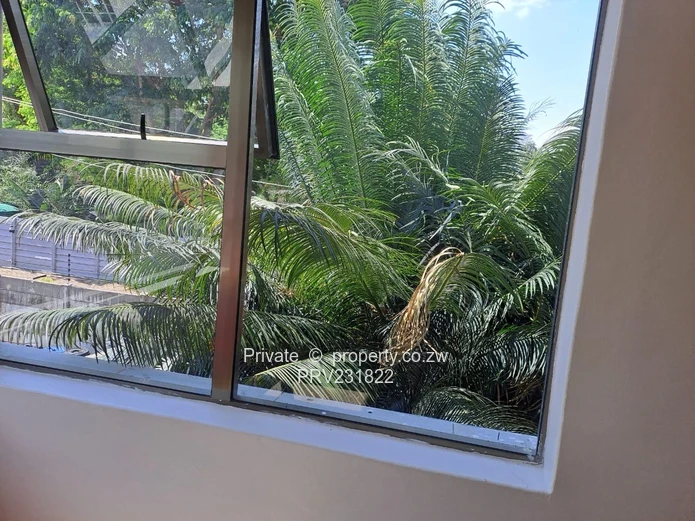 Garden Flat to let
