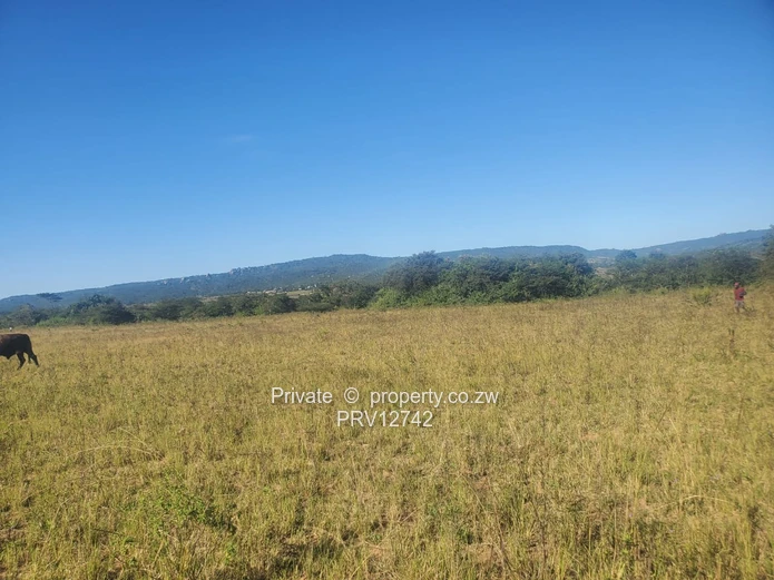 2 options available is a 5ha MARONDERA FARM PLOTS  FOR SALE and 2.Nyazura Farm 51ha size (Sole Mandate)