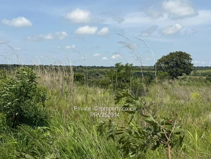 20,000m² Karoi: Main Road 