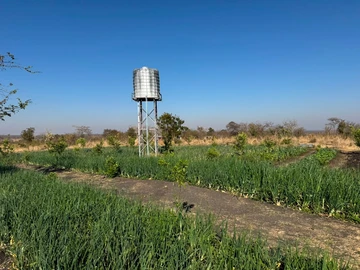 Farm & Agricultural Land