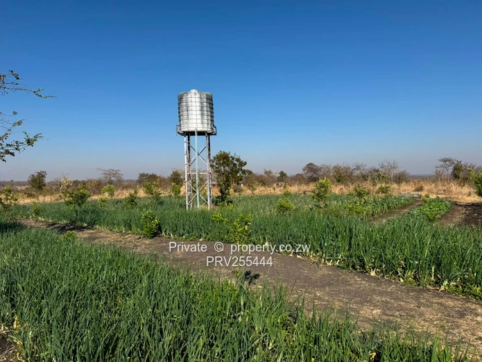 20HA FARM FOR SALE | ZVIMBA / NORTON USD 220,000 Going concern. Title deed. Surveyed.