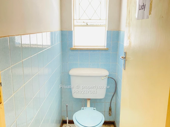 Connivence Connivence ! Absolute Gem For Brand  (Sole Mandate)