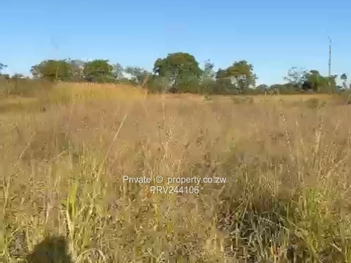 Prime Residential Land for Sale – Ridgemond, Gweru (Sole Mandate)