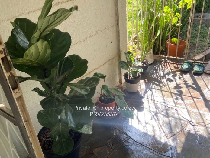 Beautiful 1 Bedroom Garden Flat Hillside, Harare (Sole Mandate)