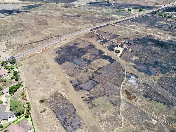 Stands & Residential Land