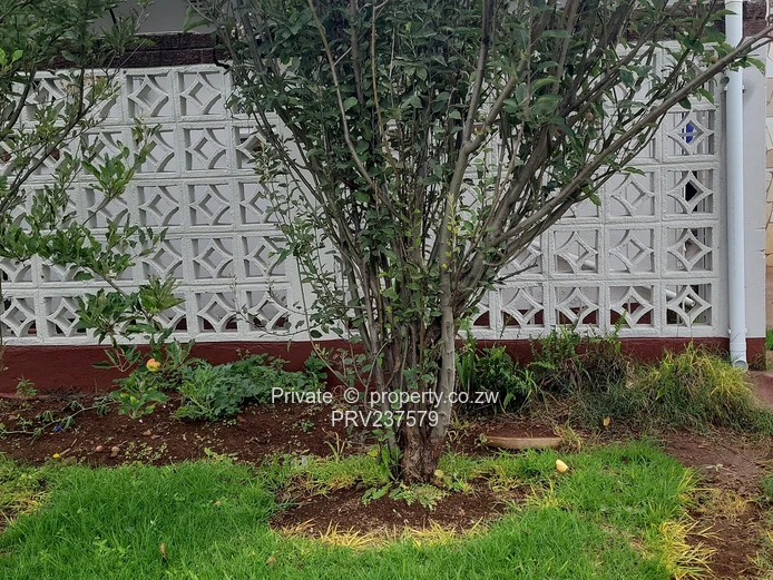 One bedroom flat for rent