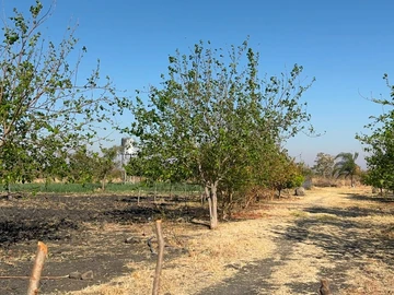 Farm & Agricultural Land
