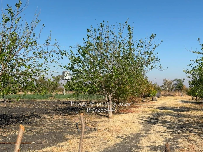 20HA FARM FOR SALE | ZVIMBA / NORTON USD 220,000 Going concern. Title deed. Surveyed.