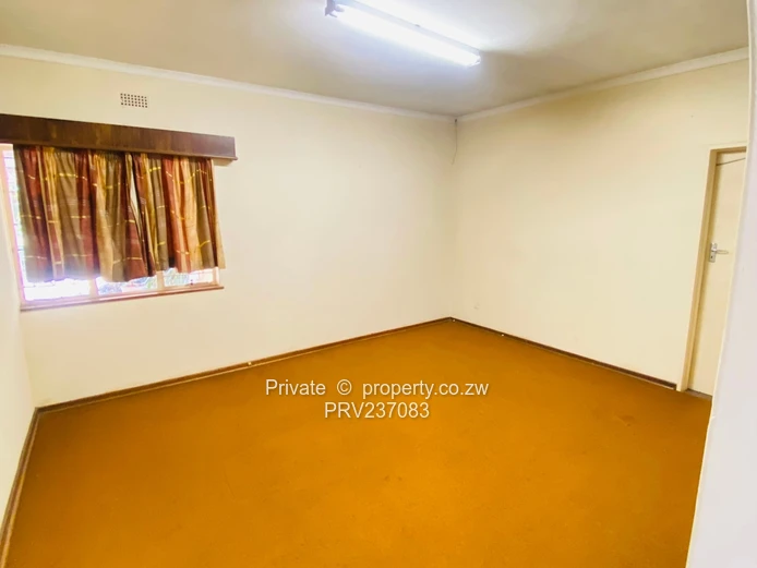 Connivence Connivence ! Absolute Gem For Brand  (Sole Mandate)