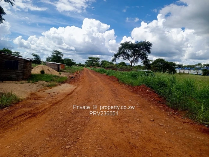 Stand for Sale in Knockmallock Norton $17k