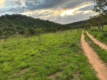 Farm & Agricultural Land