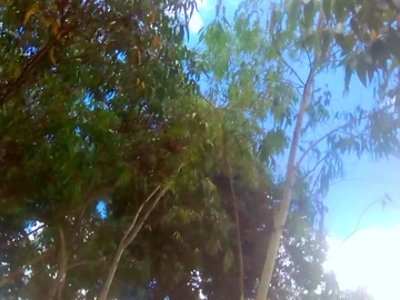 Farm & Agricultural Land