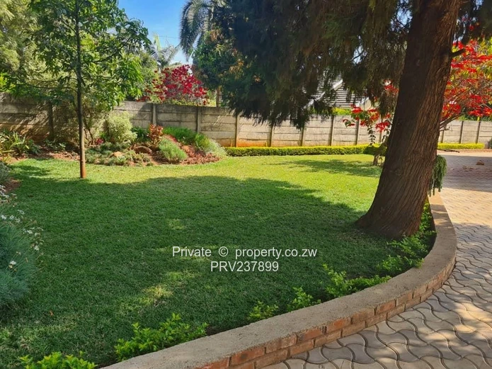 Sustainability Meets Style: A 4-Bed Sanctuary with Solar & Modern Soul Available 1 February 