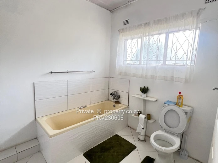 Marlborough Gem — Modern 3 bed for Rent