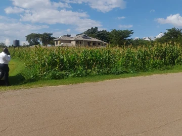 Stands & Residential Land