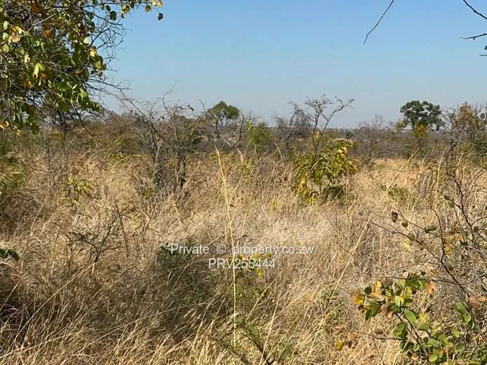 20HA FARM FOR SALE | ZVIMBA / NORTON USD 220,000 Going concern. Title deed. Surveyed.