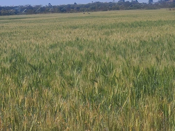 Farm & Agricultural Land