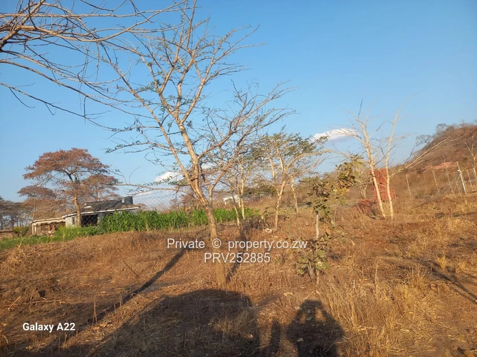 For Sale - Corner Stand in GreenHill