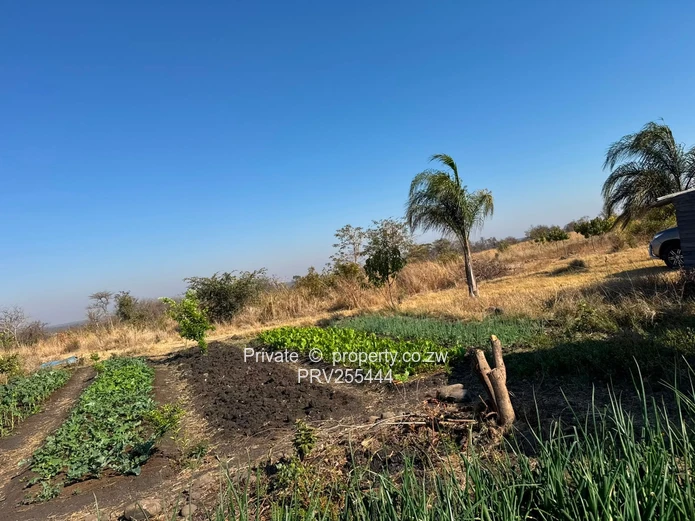 20HA FARM FOR SALE | ZVIMBA / NORTON USD 220,000 Going concern. Title deed. Surveyed.