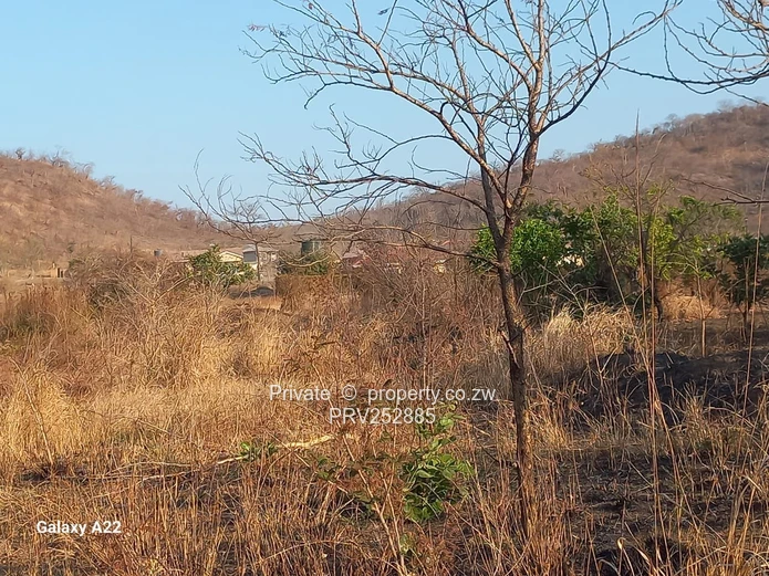 For Sale - Corner Stand in GreenHill
