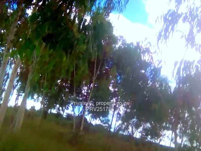 Prime Agro-Residential Plot For Sale Innyazura Along Chivhu Highway!
